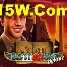 Premium Interface 111bet